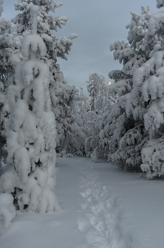 Aavasaksa12_800px.jpg - Kaamoskuvausta.