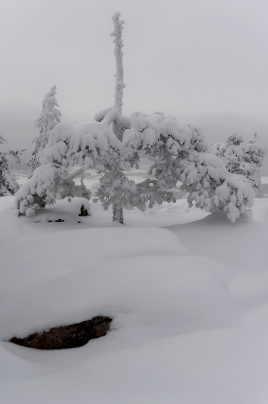 Aavasaksa33_800px.jpg - Kaamoskuvausta.