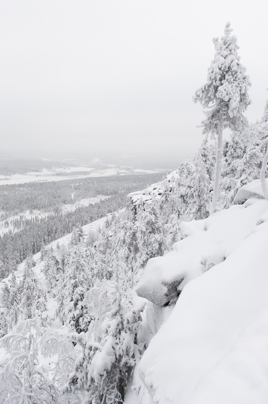 Aavasaksa4_800px.jpg - Kaamoskuvausta.