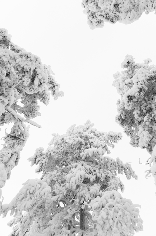 Aavasaksa5_800px.jpg - Kaamoskuvausta.