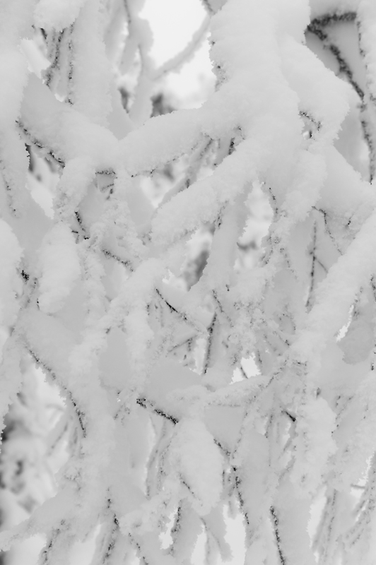 Aavasaksa8_800px.jpg - Kaamoskuvausta.