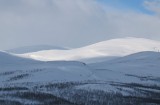 Vyoryjalki * Hyvin pudonnut lunta alas * 800 x 529 * (43KB)