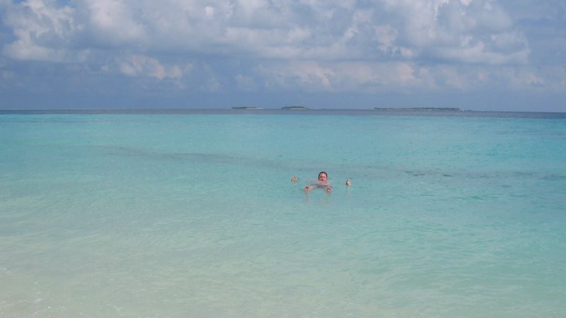 Click for the original image