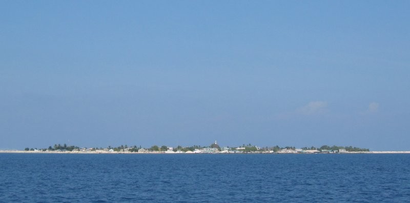 Click for the original image