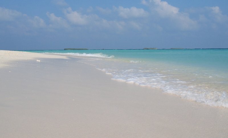 Click for the original image