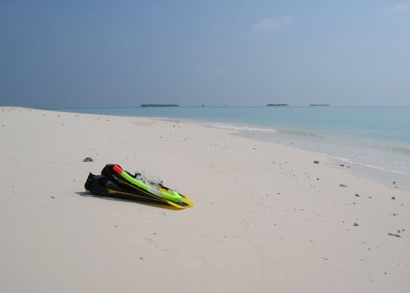 Click for the original image