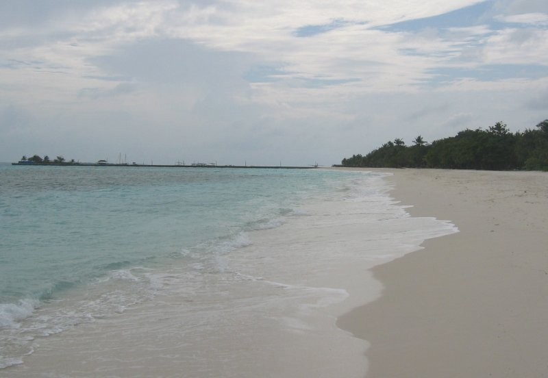 Click for the original image