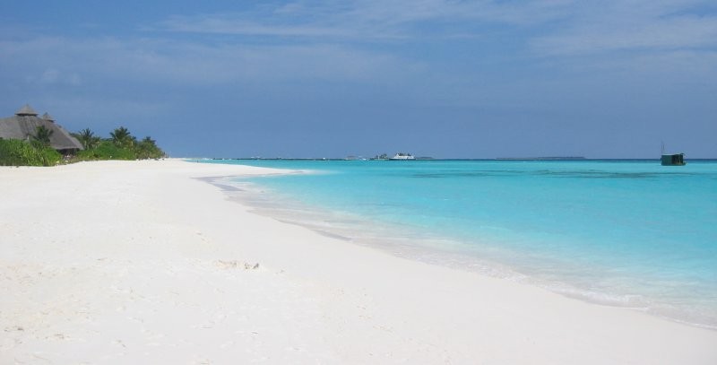 Click for the original image