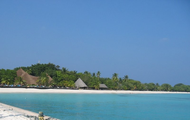 Click for the original image