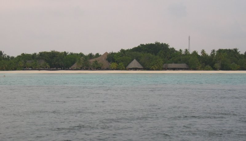 Click for the original image