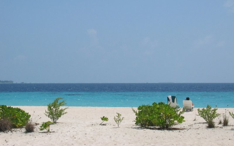 Click for the original image