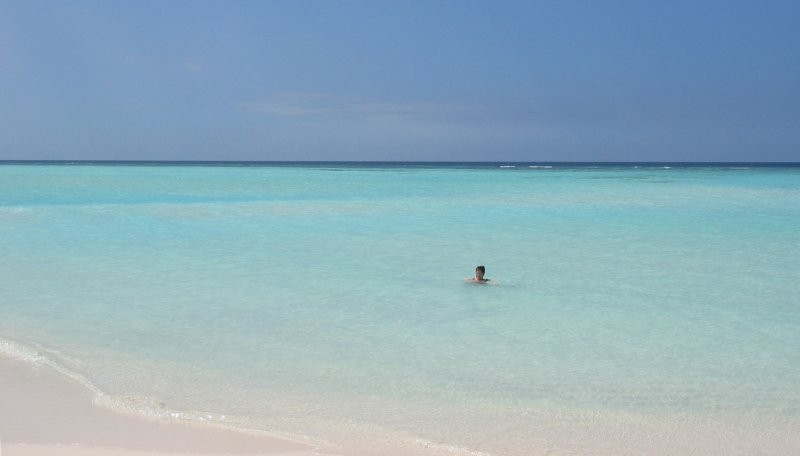 Click for the original image