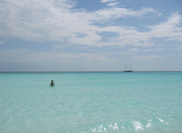 Click for the original image