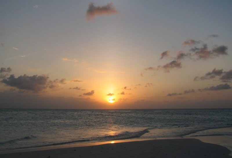 Click for the original image