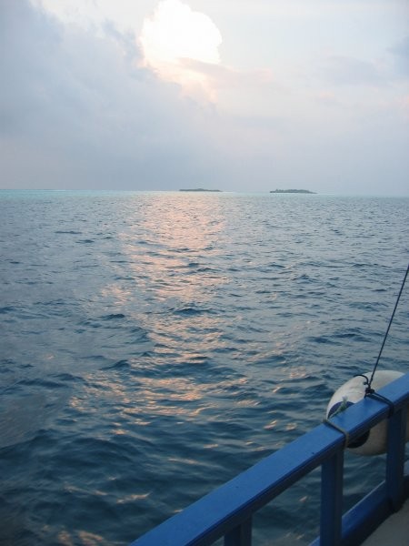 Click for the original image