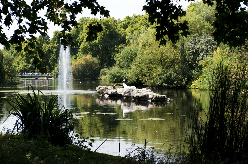 23.jpg - St James Park