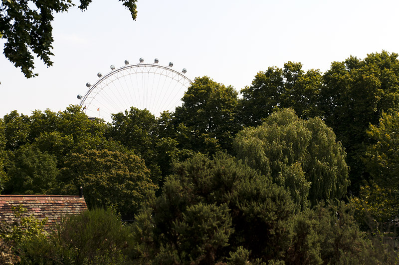 25.jpg - London Eye St. James Parkista