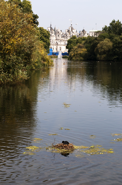 26.jpg - St James Parkissa oli nokikanalla yksi� Lontoon keskustassa j�rvenranta tontilla.