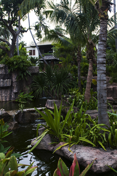 Garden2_600px.jpg - Garden