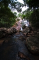 JungleWaterfall1_600px
