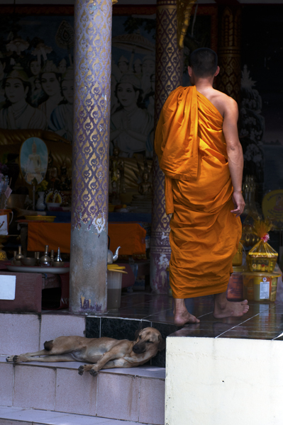 MonkAndDog_600px.jpg - Munkki ja koira. Monk and dog.