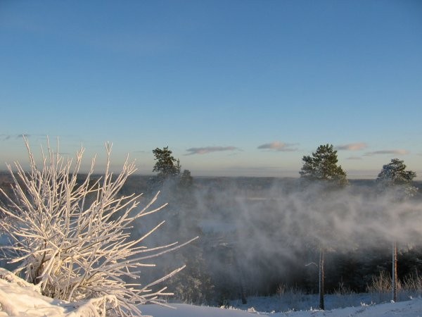 Click for the original image